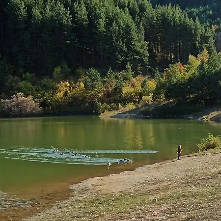 Emerald Buddha * בנסקו